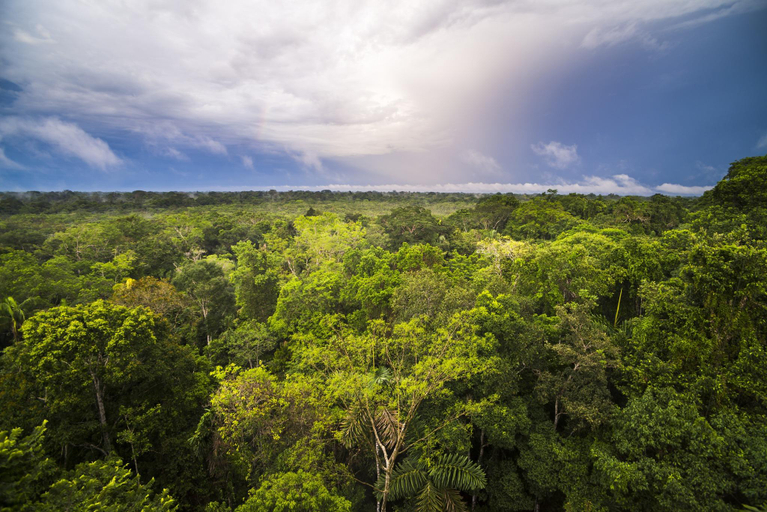 Others 4, Caiman - Amazon Eco-Lodge Cabin, Putumayo