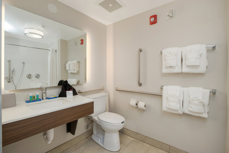 Bathroom 3, Holiday Inn Express & Suites ORLANDO - APOPKA, Orange