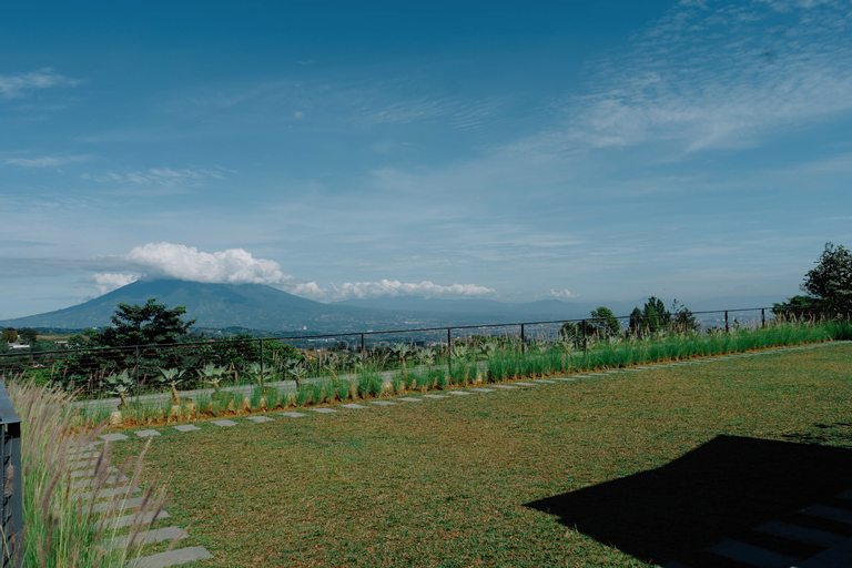 Scenery