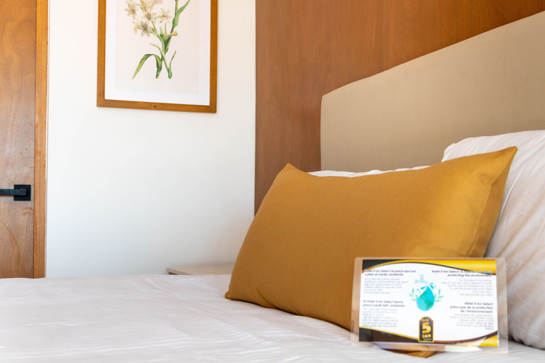 Bedroom 3, Hotel 5 Inn Select, León
