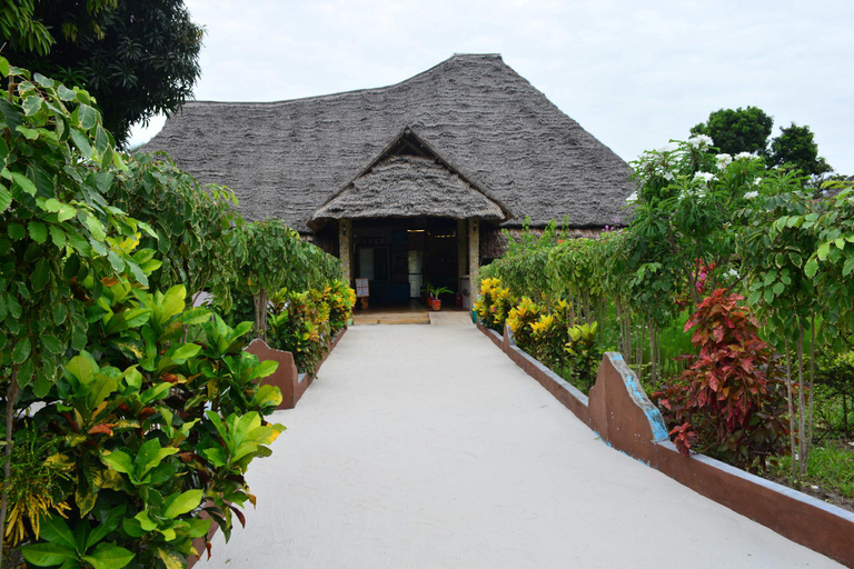 Food & Drinks 4, MEREMETA LODGE MAFIA ISLAND, Mafia