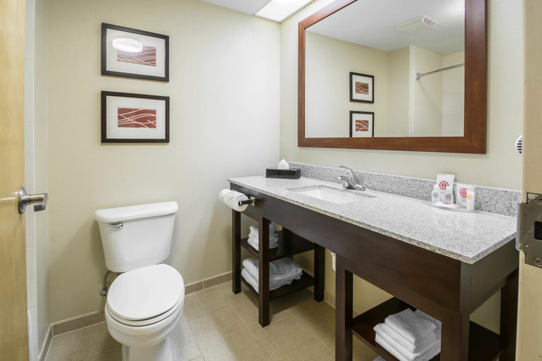 Bathroom 4, Comfort Inn & Suites DeLand - near University, Volusia