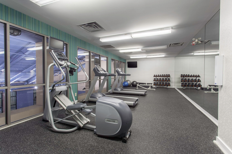 Others 2, Holiday Inn Express & Suites MISSISSAUGA-TORONTO SOUTHWEST, Peel