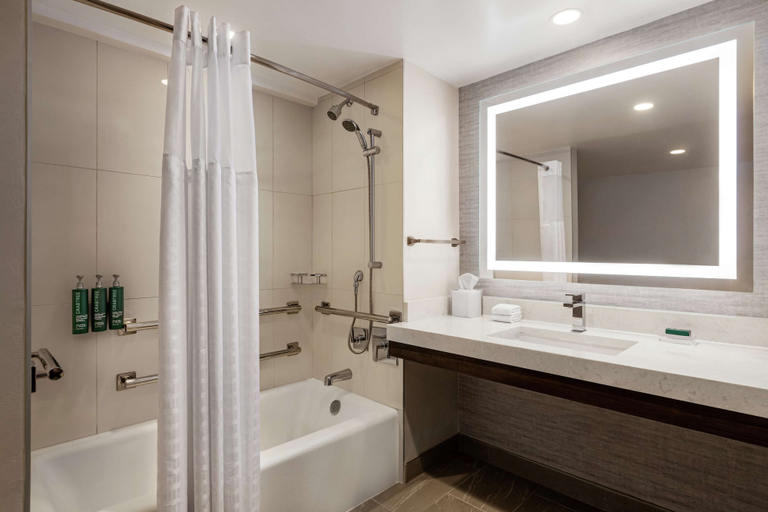 Bathroom 4, Hilton Tampa Downtown, Hillsborough