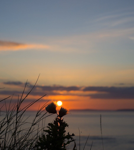 Others 4, Belmullet Glamping