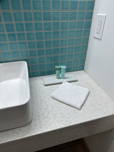 Bathroom 3, South Shore Motel, Cowichan Valley