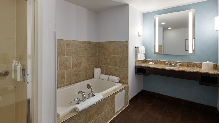 Bathroom 4, Hilton Garden Inn Merrillville, Lake