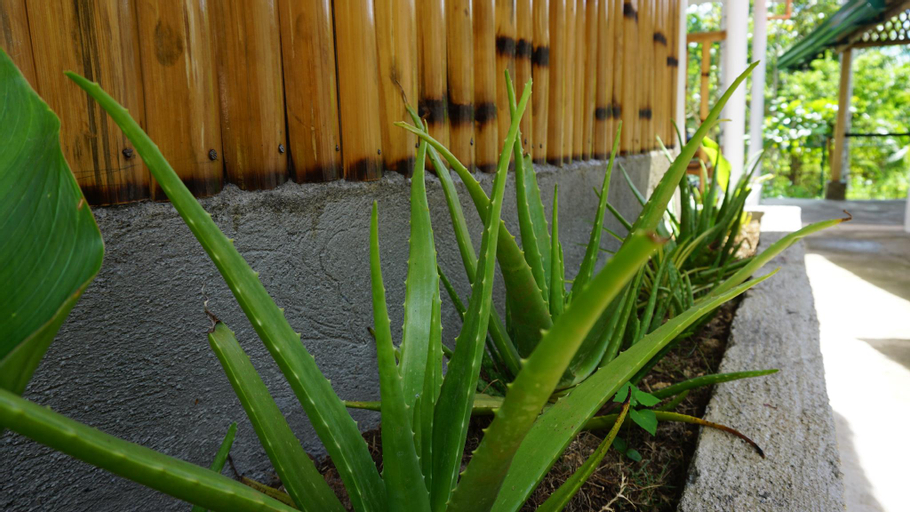 Scenery 10
