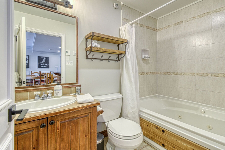 Bathroom 3, Algonquin Chalets, Les Laurentides