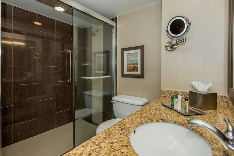 Bathroom 4, Hilton Winnipeg Airport Suites, Division No. 11