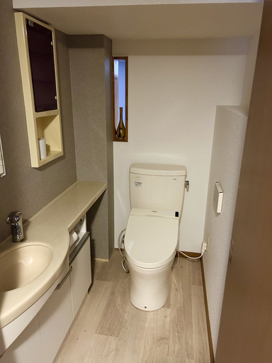 Bathroom 3, Matsuyamachi Dotonbori Condo, Osaka