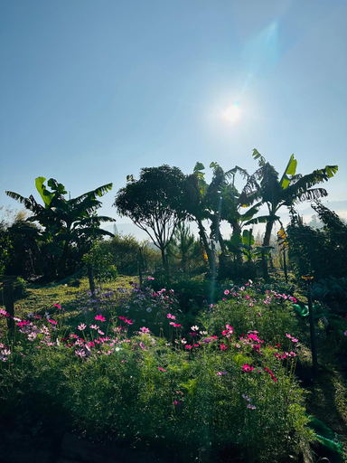 Others 4, Sol Valley - Hideaway Station, Bảo Lộc