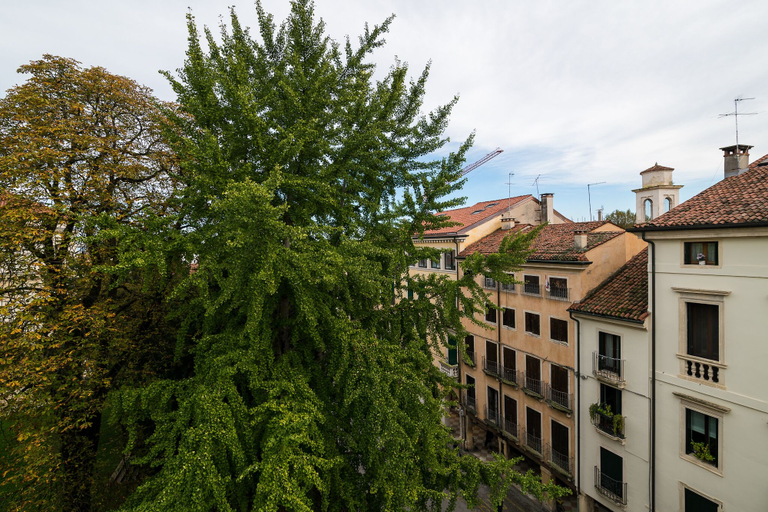 Others 4, Residenza Corso Palladio 159, Vicenza
