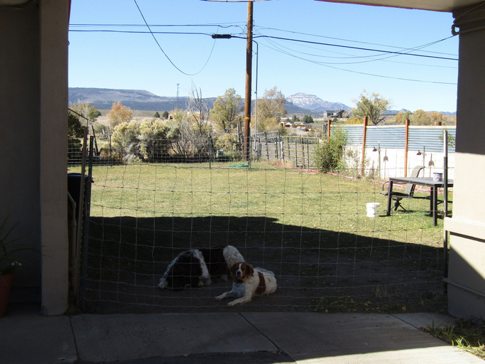 Others 5, Lamplighter Lodge, Garfield