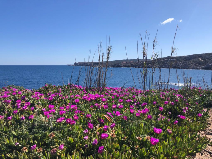 Others 5, Relaxing Cristal Blu Studio sleeps 3, Olbia-Tempio