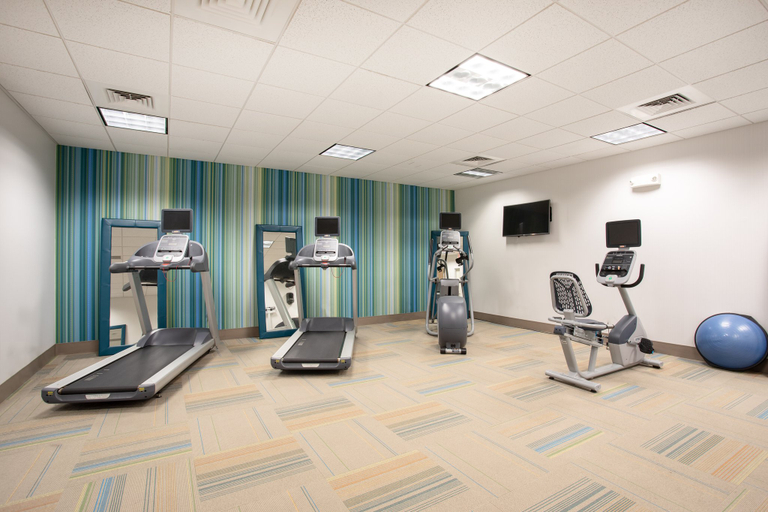 Others 4, Holiday Inn Express & Suites MANHATTAN, Riley