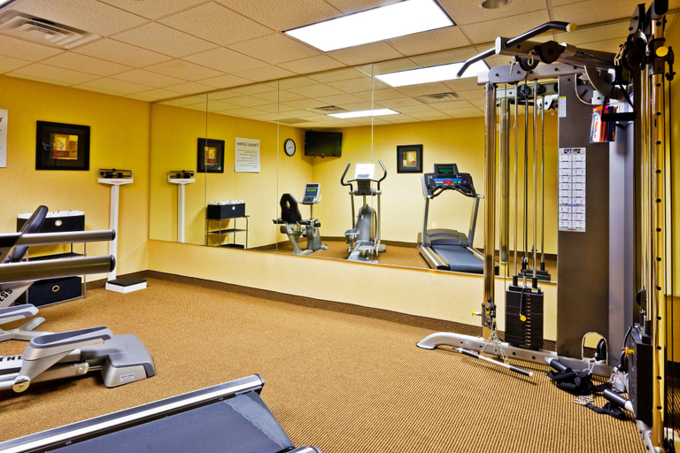 Others 4, Holiday Inn Express & Suites MEMPHIS/GERMANTOWN, Shelby