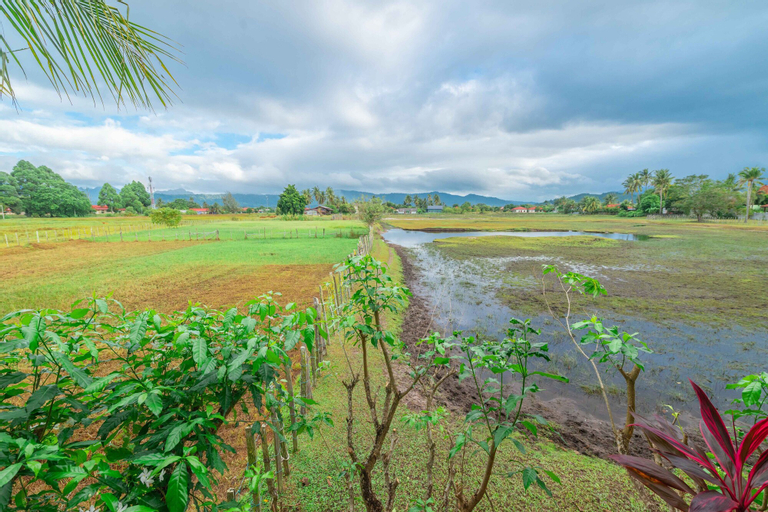 Scenery 18