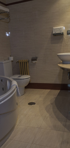Bathroom 5, Hotel Gran Regente, Asturias