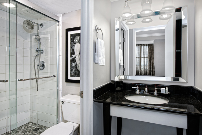 Bathroom 4, Hotel Indigo DALLAS DOWNTOWN by IHG, Dallas