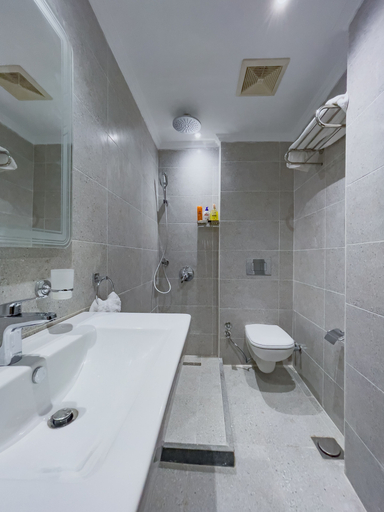 Bathroom 3, khufu house, Giza