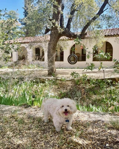 Exterior & Views 2, El Rancho Robles, Pinal