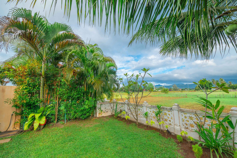 Scenery 24
