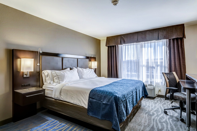 Bedroom 3, Holiday Inn Express & Suites ST. LOUIS WEST-O'FALLON, Saint Charles