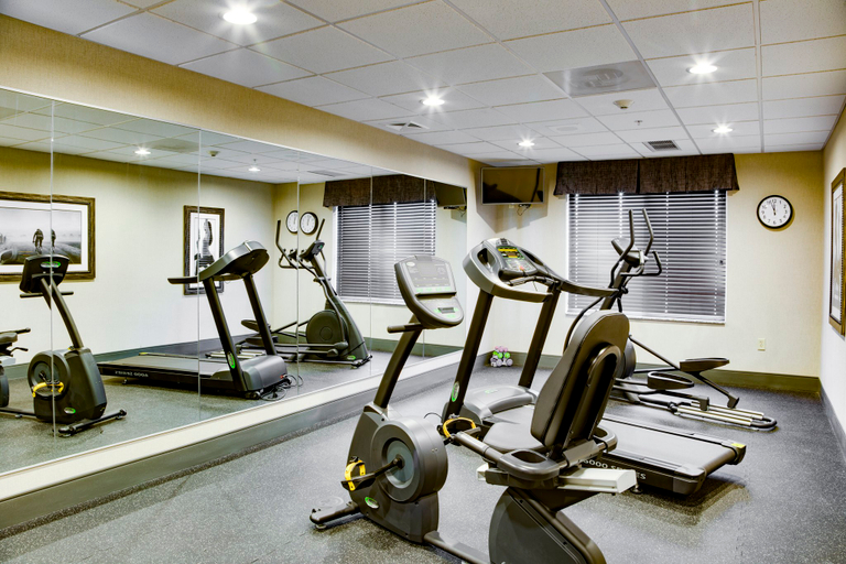 Others 3, Holiday Inn Express & Suites NEVADA, Vernon