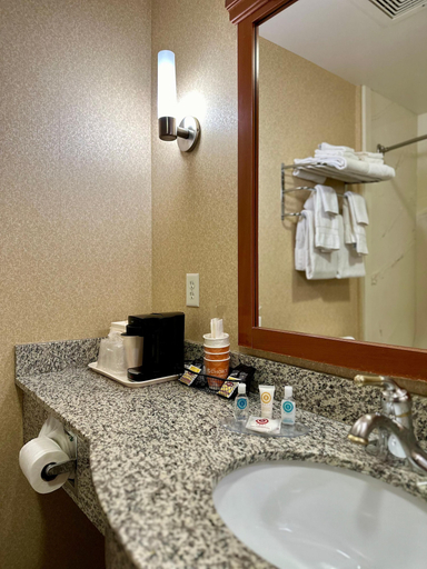 Bathroom 4, Comfort Inn Ogden near Event Center, Weber
