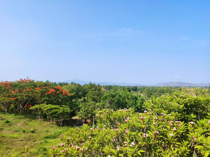 Others 4, Banrai Pornsawun, Suan Phung