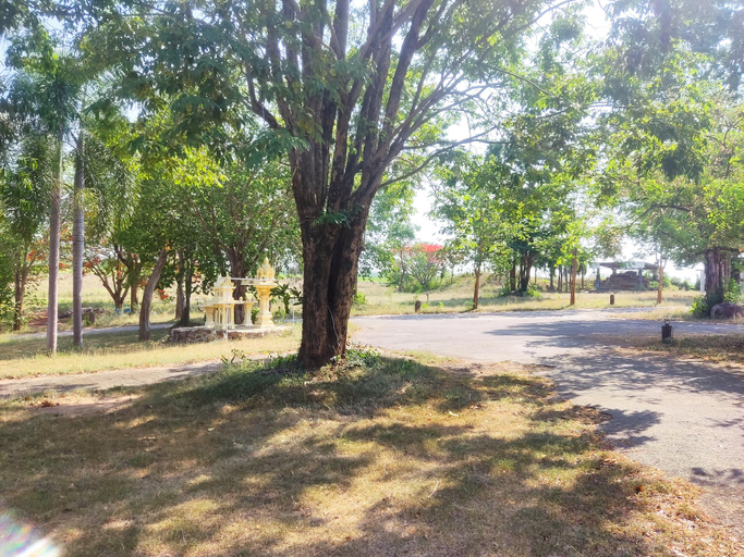 Others 5, Banrai Pornsawun, Suan Phung