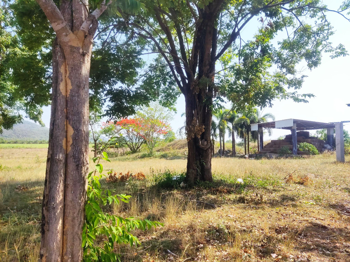 Others 4, Banrai Pornsawun, Suan Phung