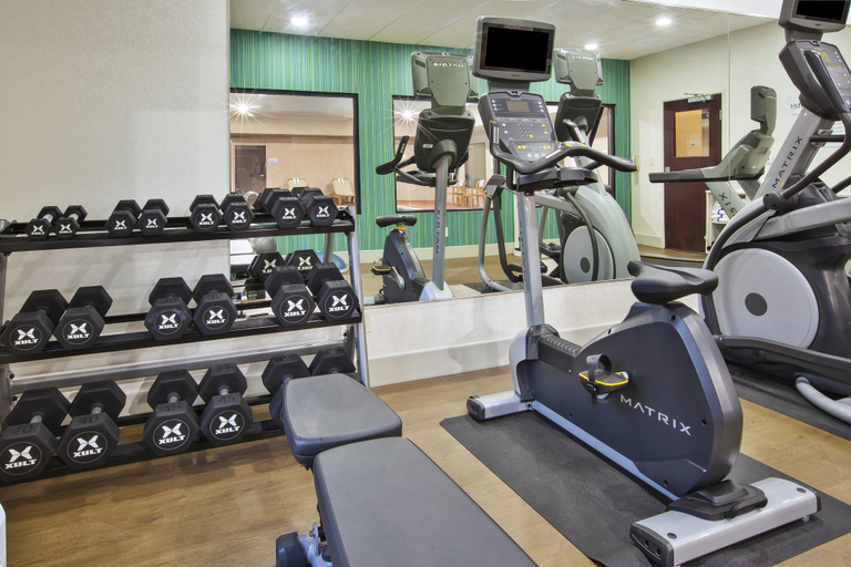 Others 2, Holiday Inn Express & Suites NILES, Berrien
