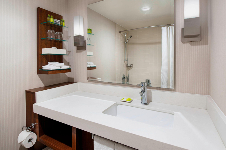 Bathroom 4, Delta Hotels by Marriott Regina, Division No. 6