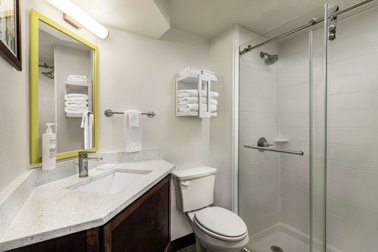 Bathroom 4, Hampton Inn Kansas City-Airport, Kansas City