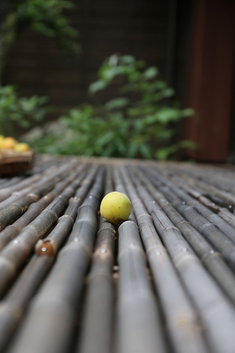 Food & Drinks, EXP._Onsen, Yugawara