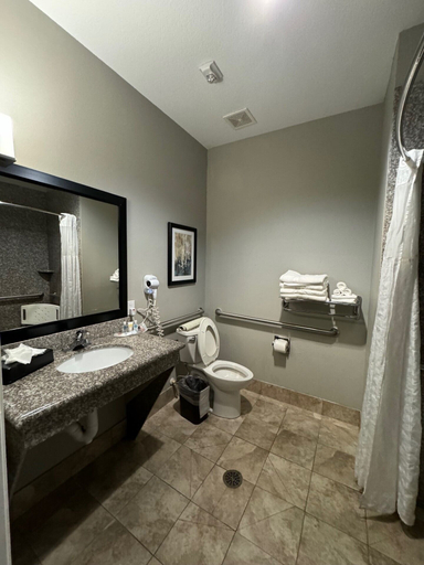 Bathroom 4, Comfort Suites at Katy Mills, Houston