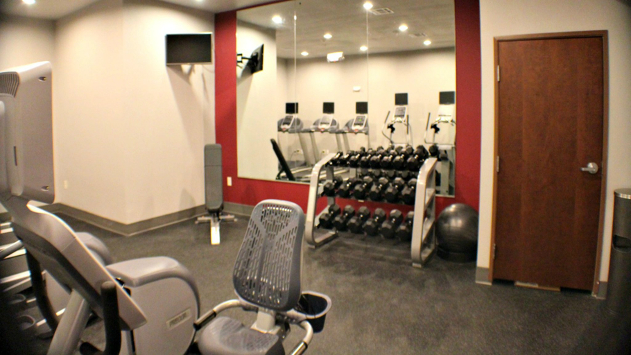 Others 2, Holiday Inn Express & Suites BONHAM, Fannin
