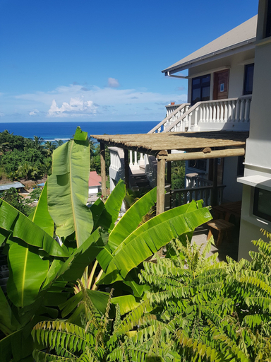 Others 4, Island Cove