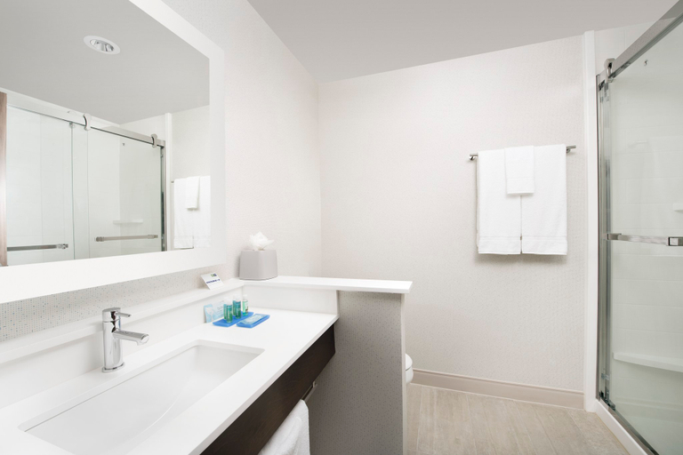 Bathroom 5, Holiday Inn Express & Suites SAN ANTONIO NORTH - WINDCREST, Bexar