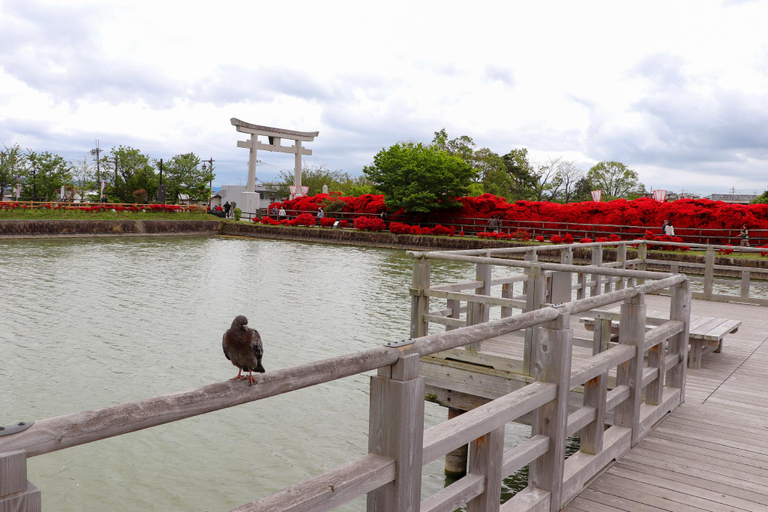 Nearby Landmark, Hotel Dion ホテル ディオン - Adult Only, Kyoto