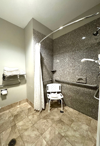 Bathroom 4, Comfort Suites at Katy Mills, Houston