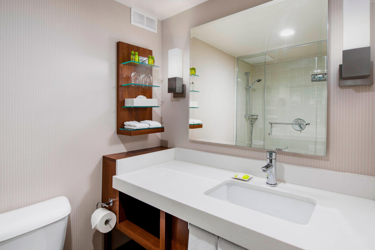 Bathroom 4, Delta Hotels by Marriott Regina, Division No. 6