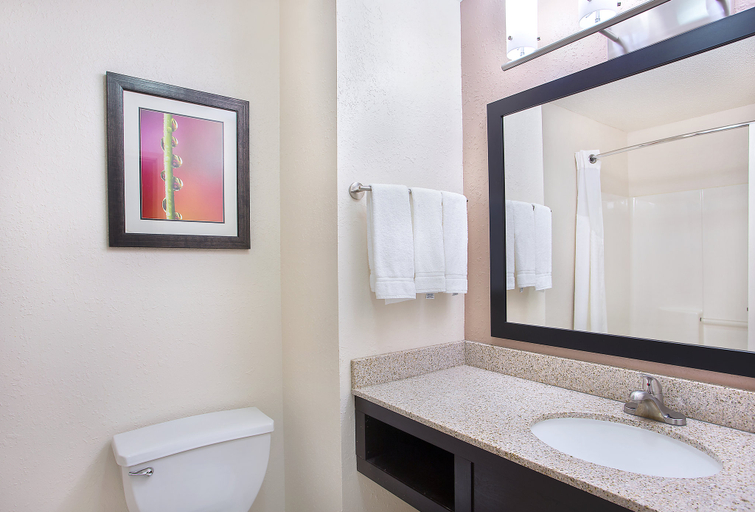 Bathroom 4, Holiday Inn Express & Suites MURPHY, Cherokee