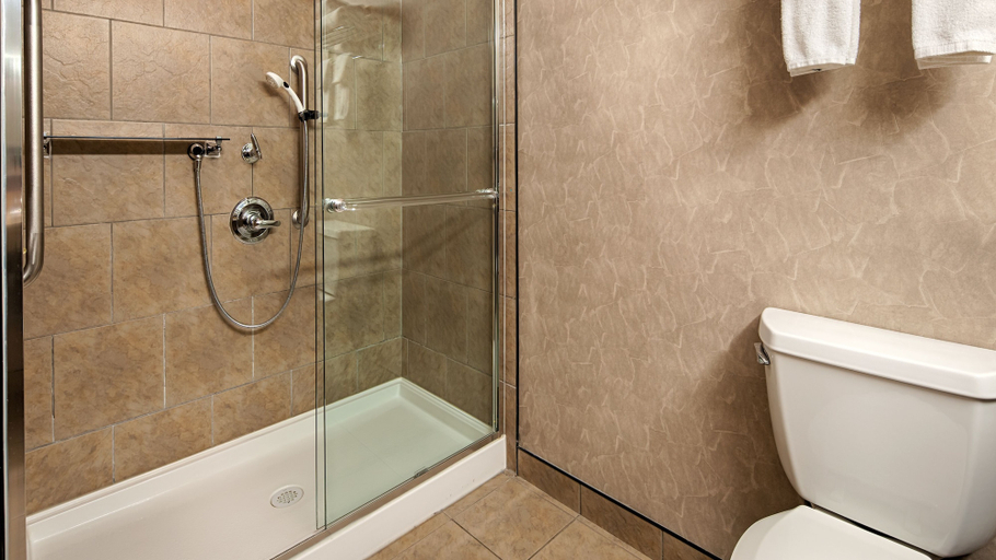 Bathroom 4, Best Western Blairmore, Division No. 11