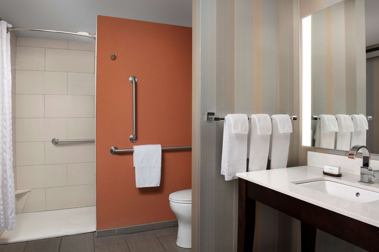 Bathroom 5, Embassy Suites by Hilton Knoxville West, Knox