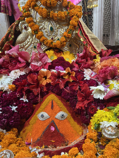 Others 5, HOTEL THE JMC CHINTPURNI DHAM, Una