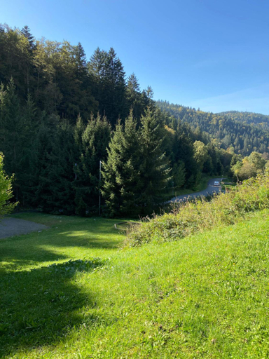 Others 5, Schwarzwaldblick, Schwarzwald-Baar-Kreis