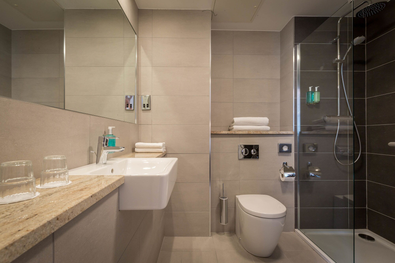 Bathroom 2, ザ ベルヴェデーレ ホテル パーネル スクエア, Dublin